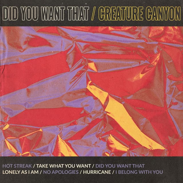 Album cover art for Did You Want That