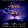 A Whole New World
