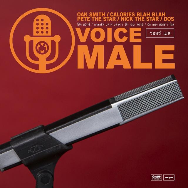 Album cover art for Voice Male
