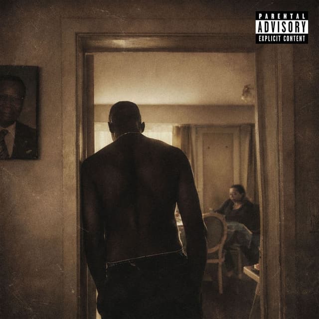Album cover art for ARTICLE 15
