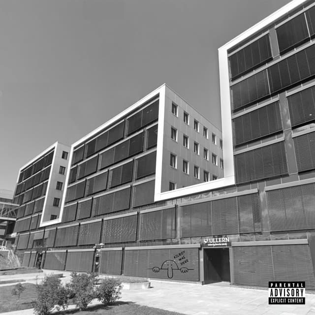 Album cover art for Hvitt Gull (Kilroy)