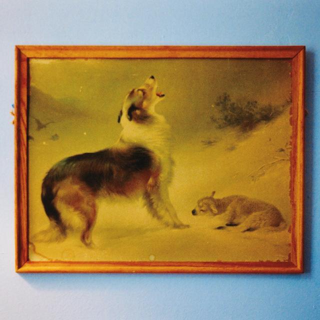 Album cover art for The Rescue
