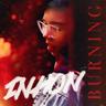 Burning (feat. Howz)