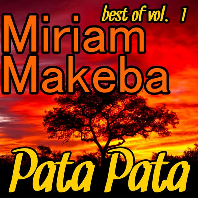 Album cover art for Pata Pata - Best Of Vol. 1