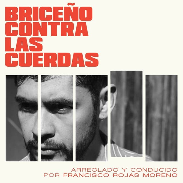 Album cover art for Briceño contra las cuerdas