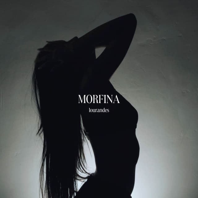 Album cover art for Morfina