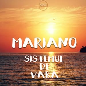 Album cover art for Sistemul de vara (Live)