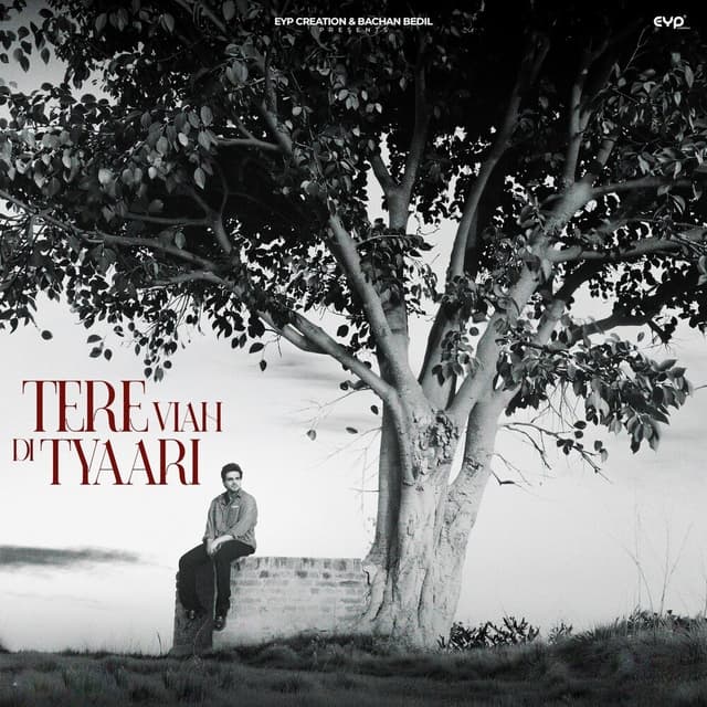 Album cover art for Tere Viah Di Tyaari