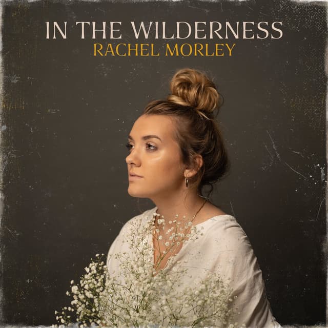 Album cover art for In the Wilderness