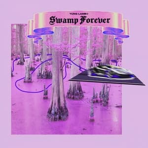 Album cover art for SWAMP FOREVER.