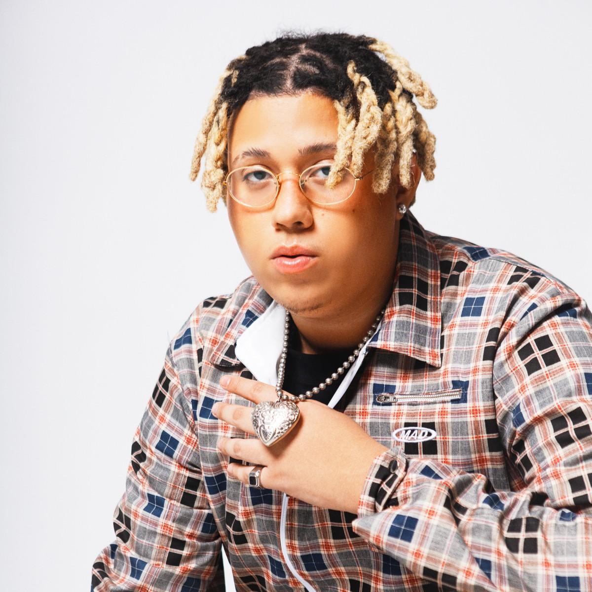 Artist chip image