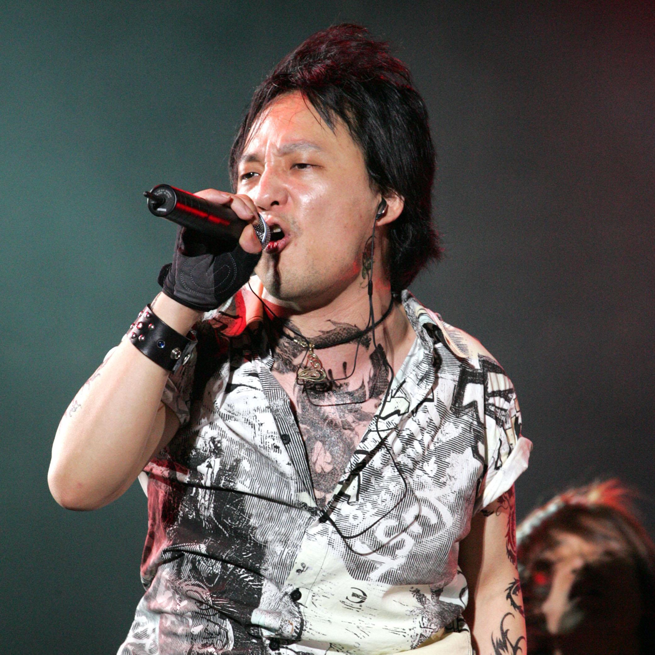 Artist chip image