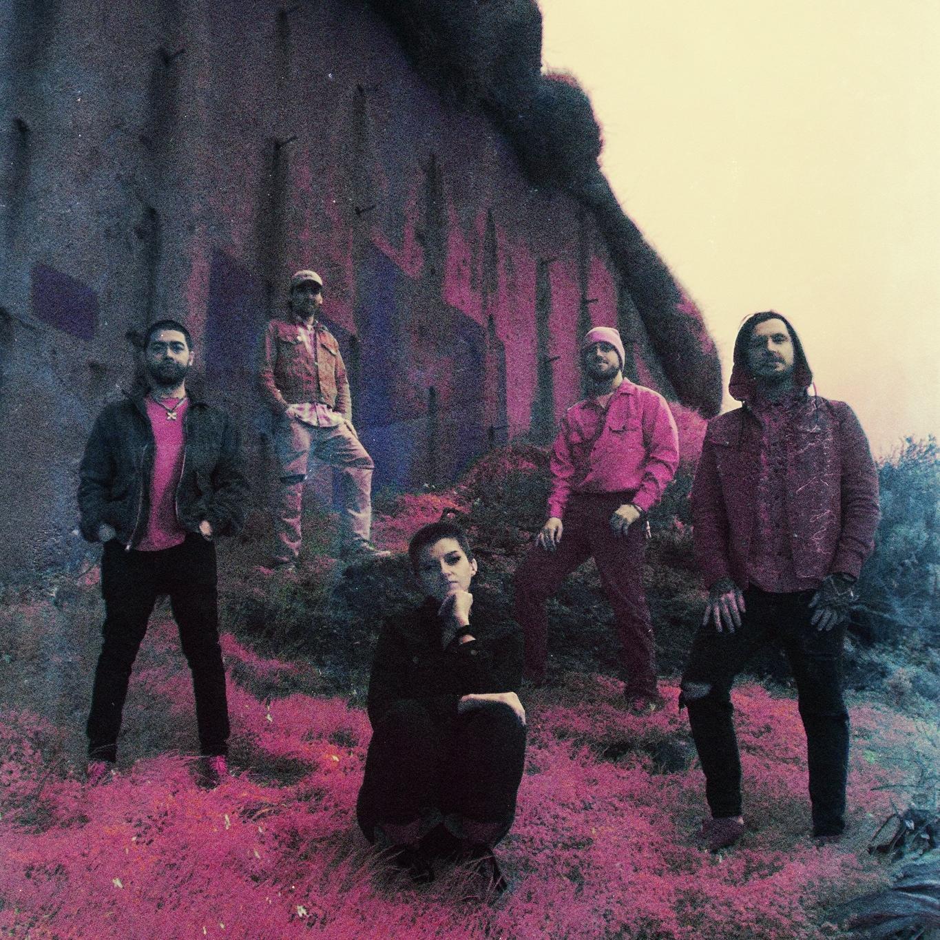 Dynamic cover art