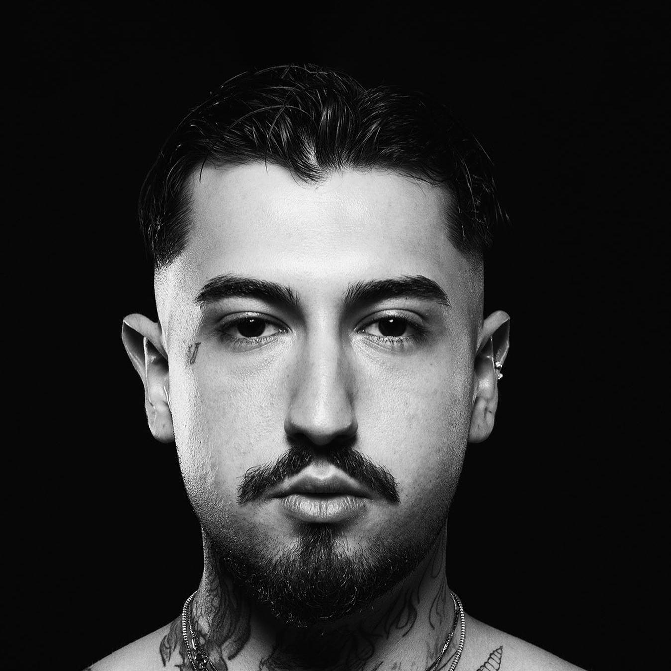 Artist chip image
