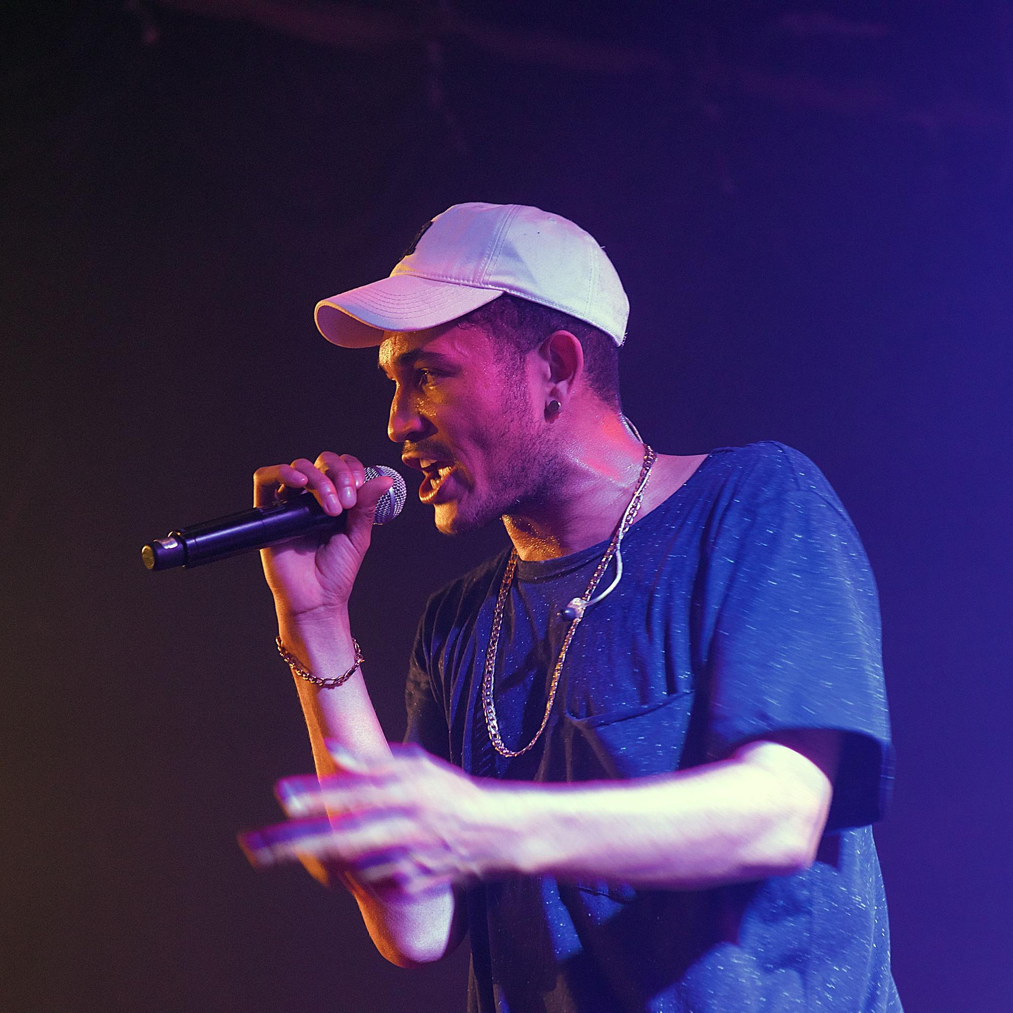 Artist chip image