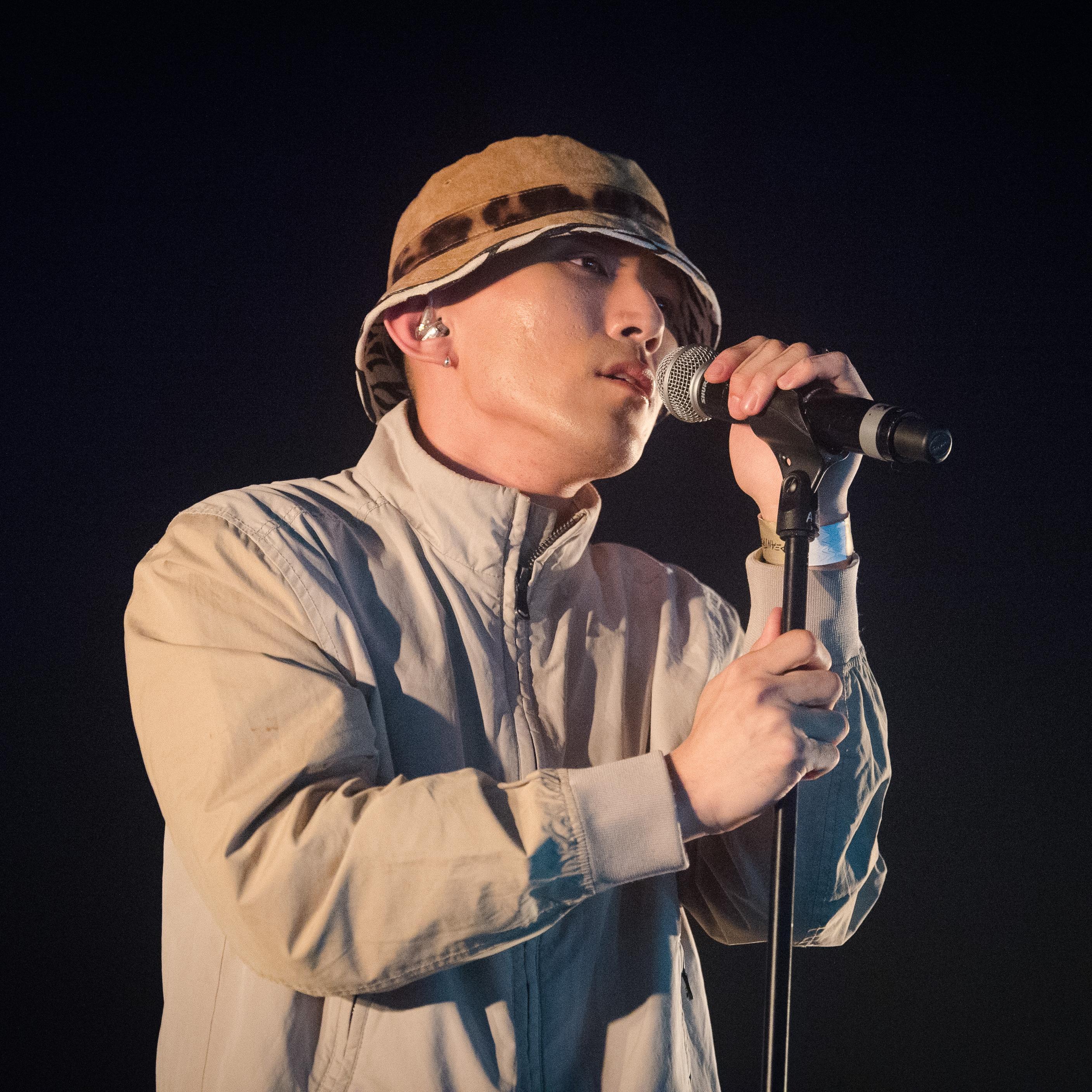 Artist chip image