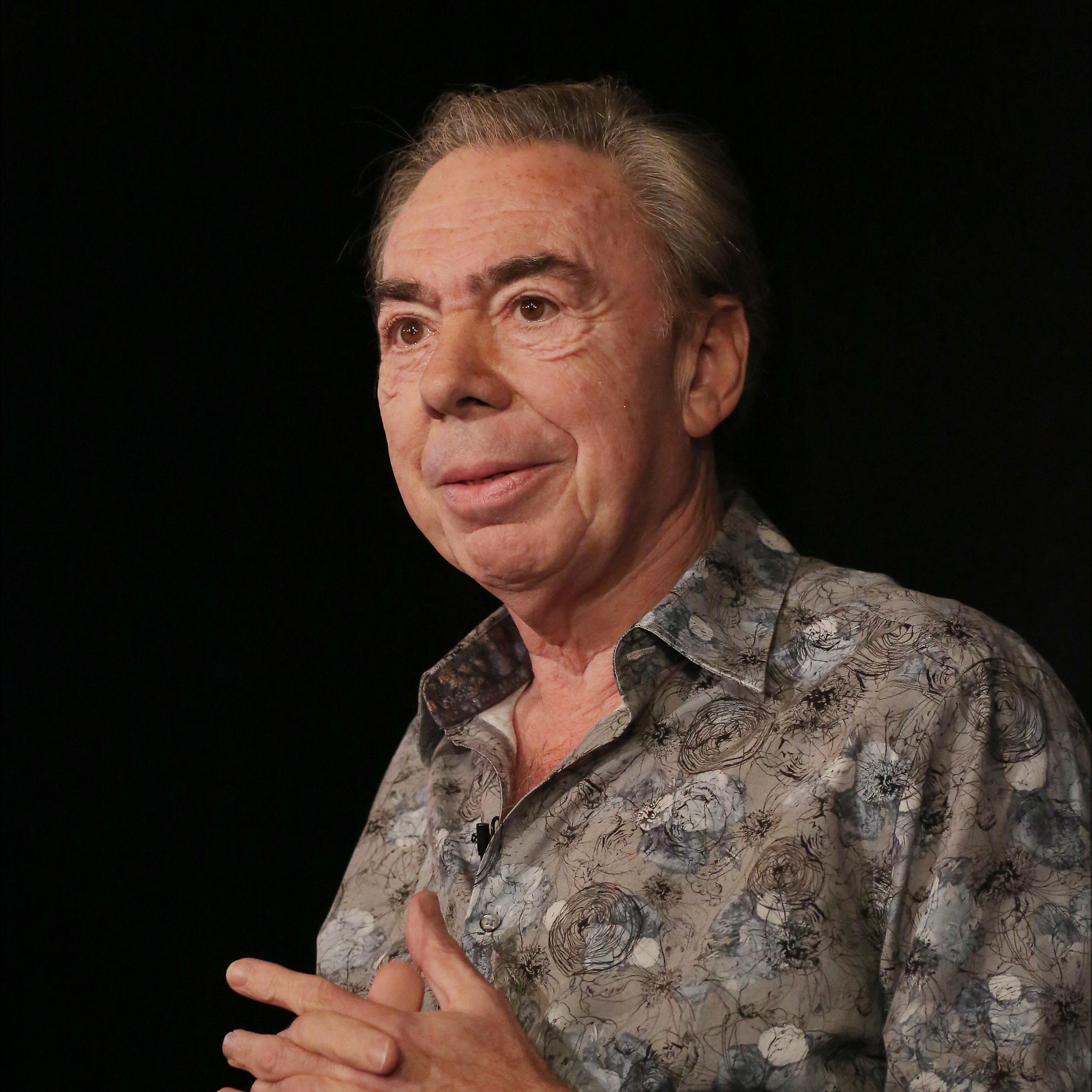 Artist chip image