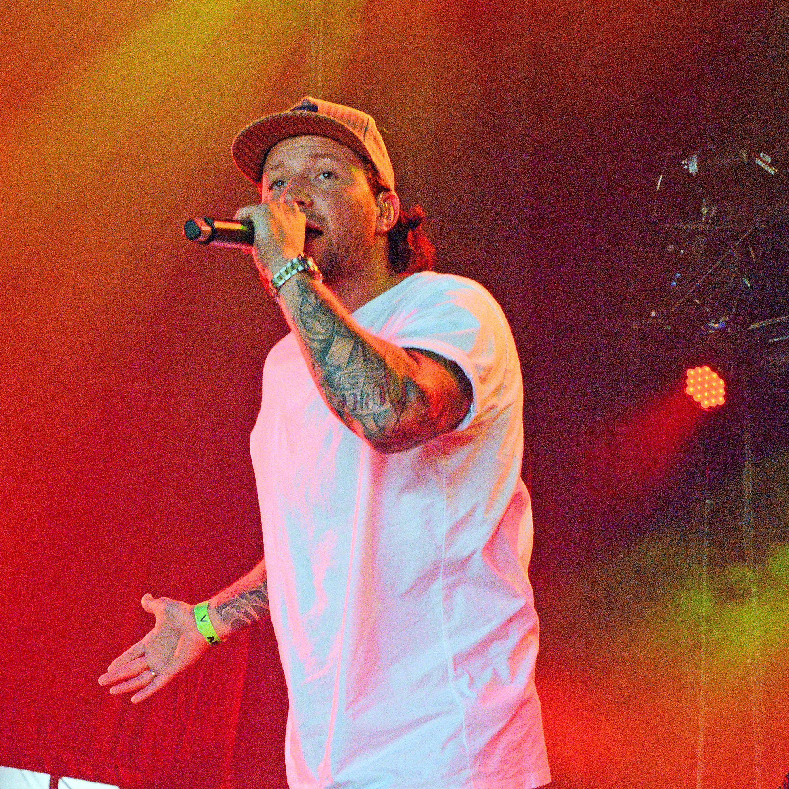 Artist chip image