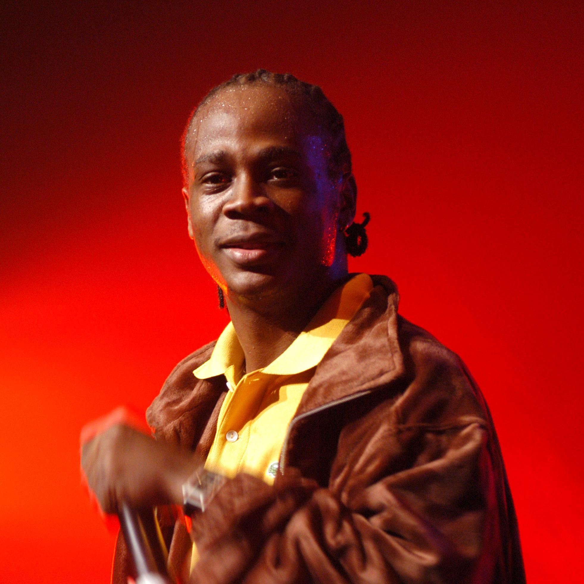 Artist chip image