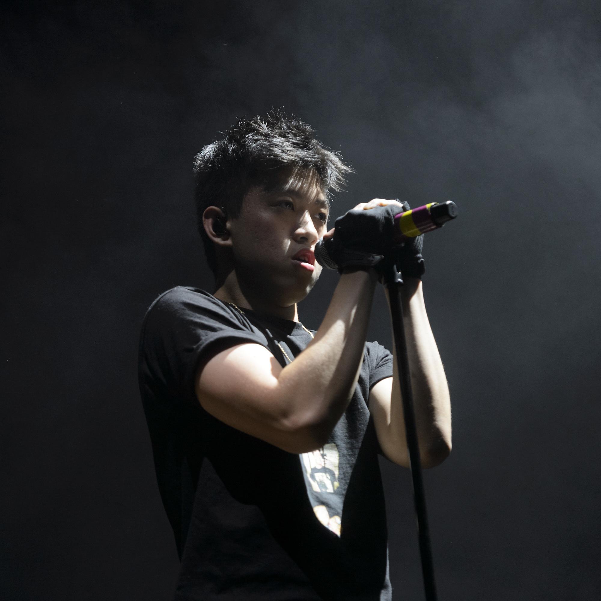 Artist chip image