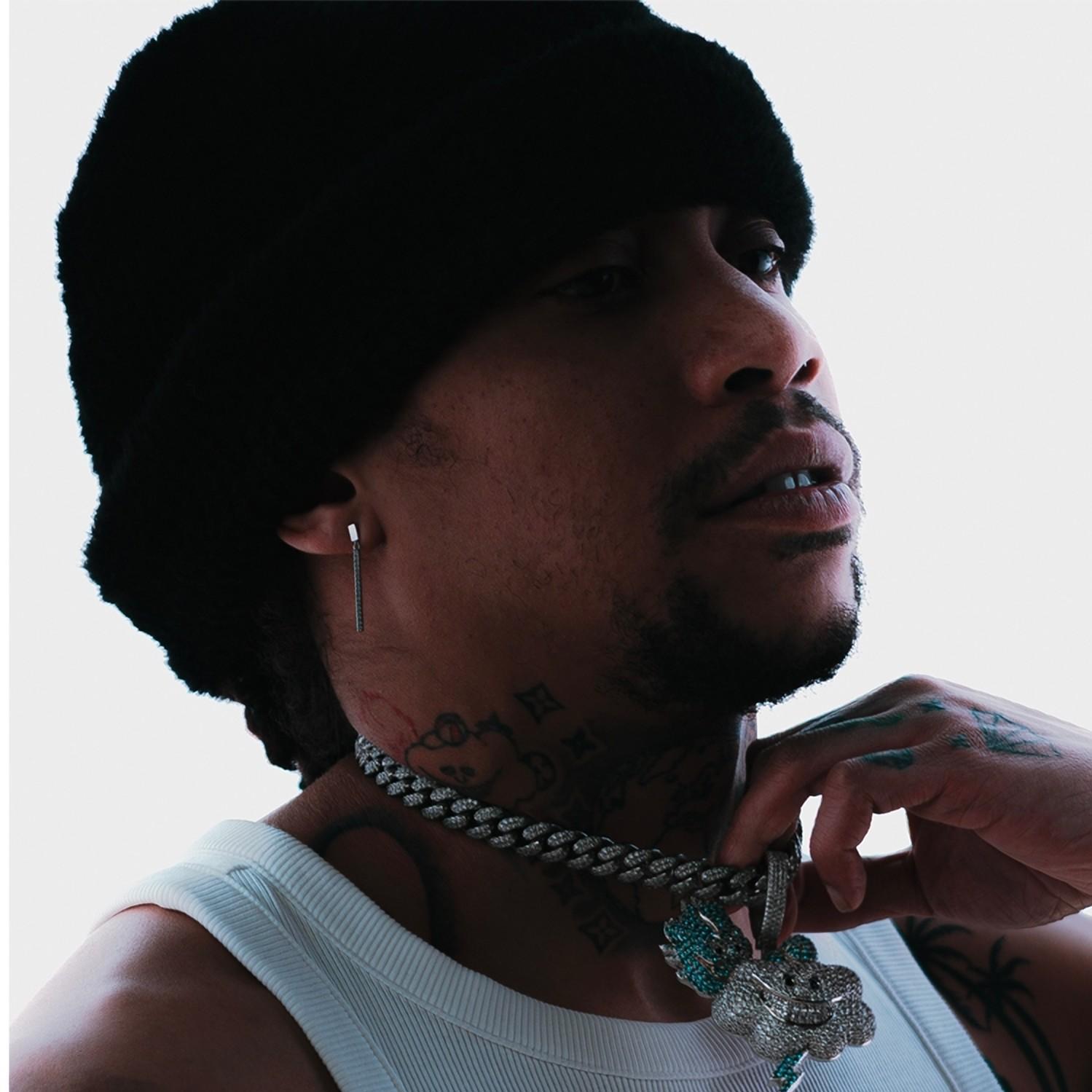 Artist chip image