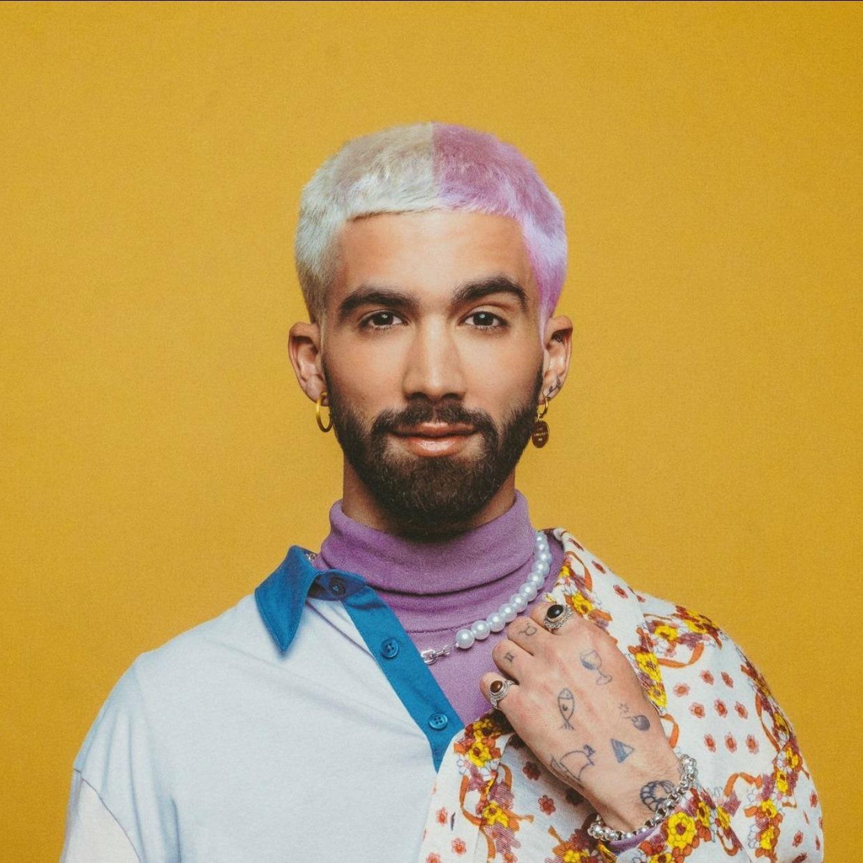 Artist chip image