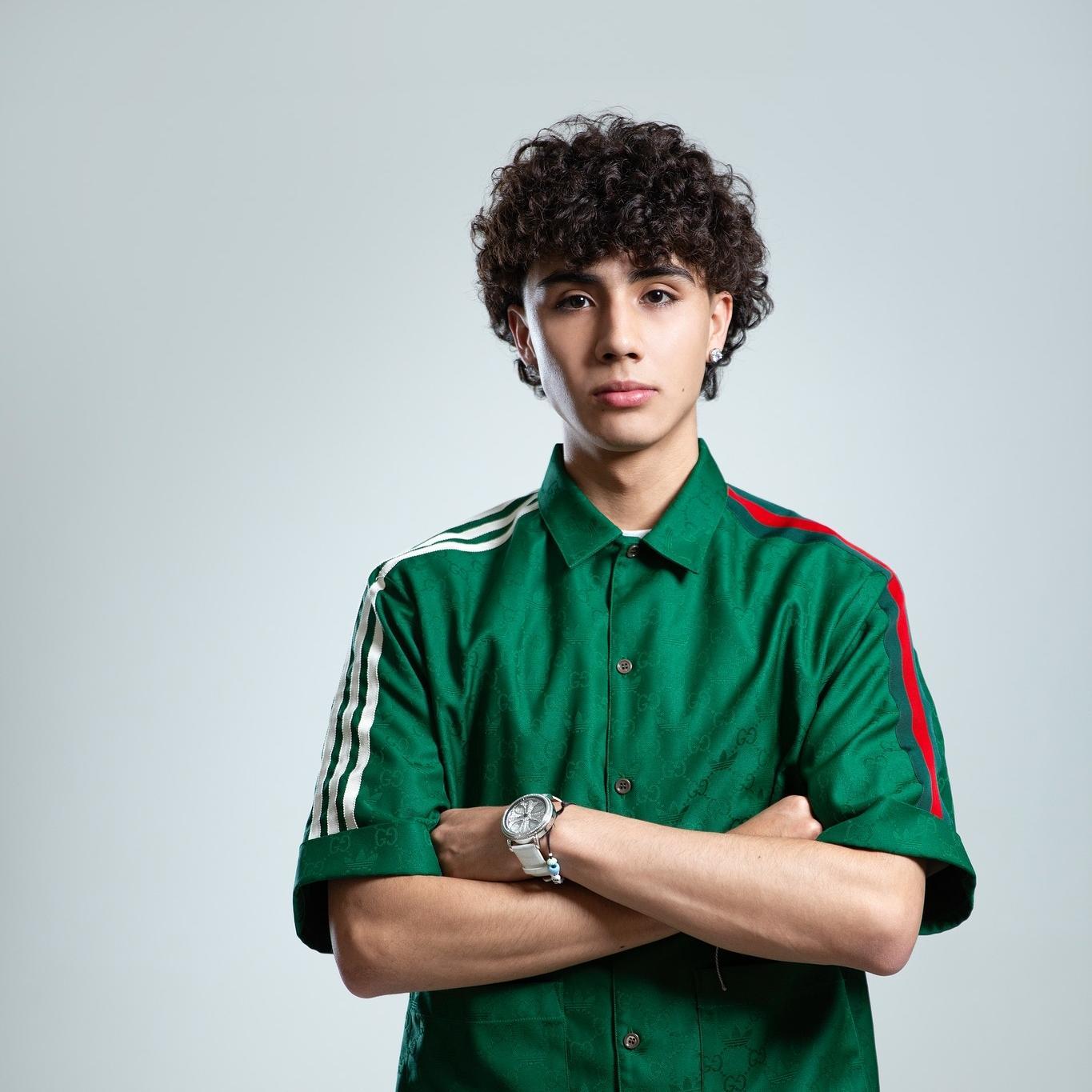 Artist chip image
