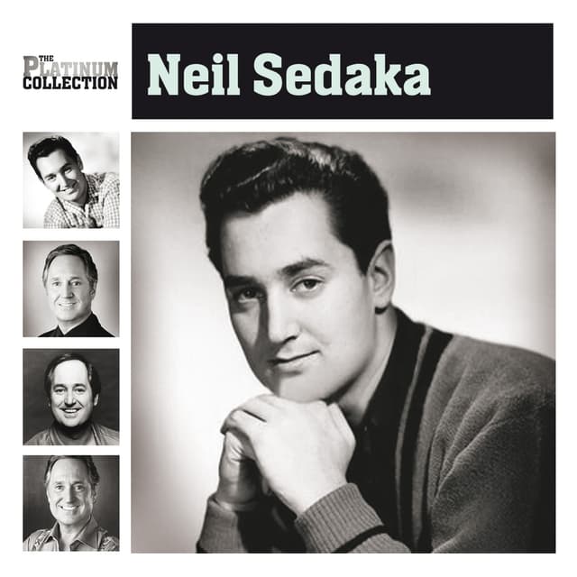 Album cover art for The Platinum Collection