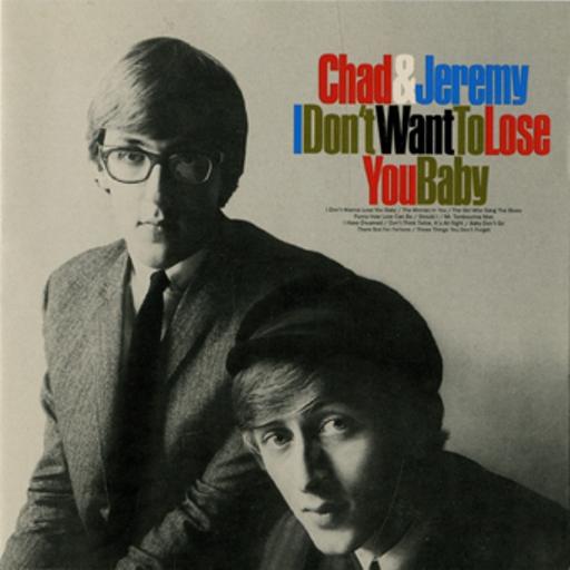Album cover art for I Don't Want to Lose You Baby