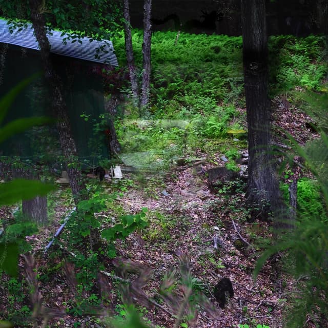 Album cover art for πβΉΡππlΓΉπ‘πΚ°