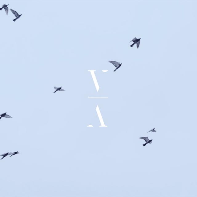 Album cover art for Kochi EP, Guaba EP + Kelam EP Compilation