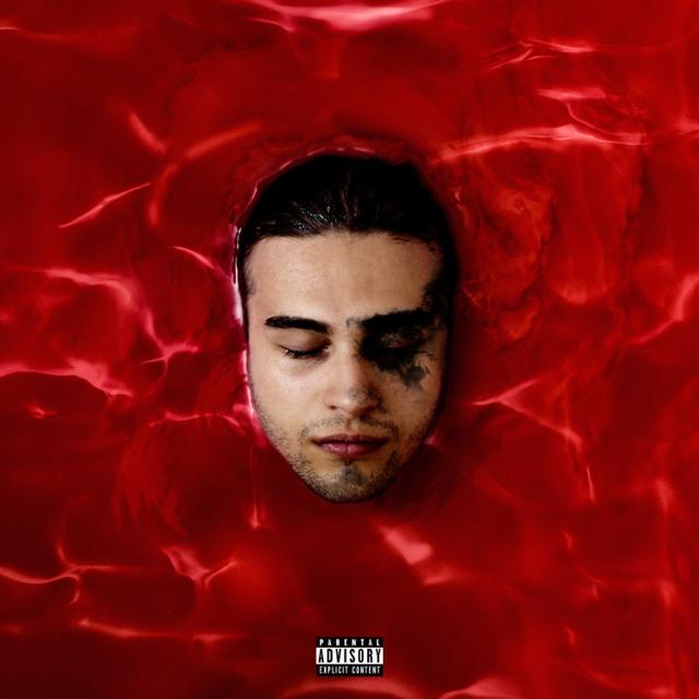 Album cover art for ȘTEFAN IV EVER